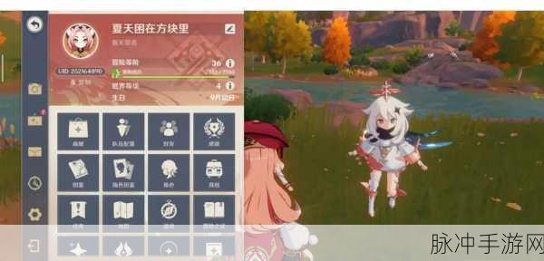 原神飞行考试第二关全攻略，技巧与策略助你轻松通关