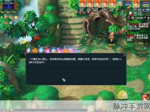 梦幻西游全副本深度剖析，征服所有难关，铸就你的传奇之旅！