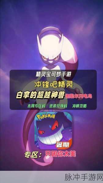 口袋妖怪复刻深度探索，闪电鸟高效技能搭配与制胜策略