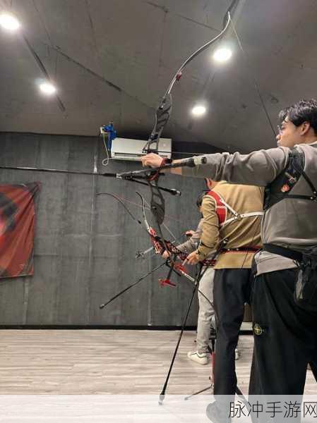 弓箭手大师,挑战你的射击极限,乐趣无穷!