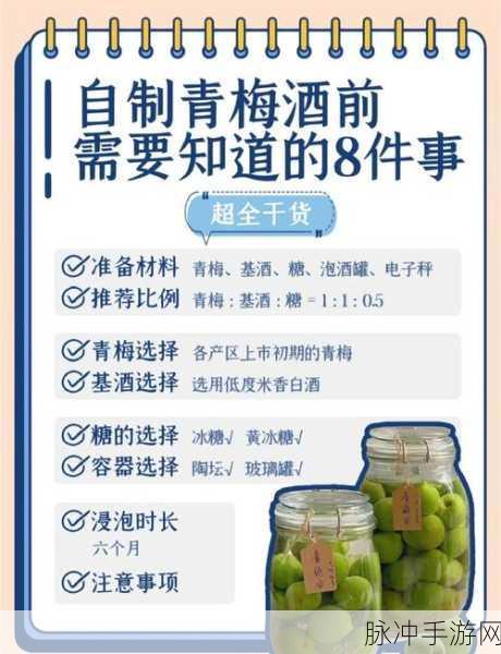 醉天下手游青梅煮酒玩法全解析