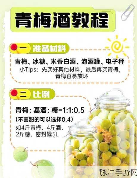 醉天下手游青梅煮酒玩法全解析