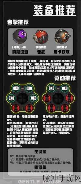绝区零猫宫又奈全面培养指南