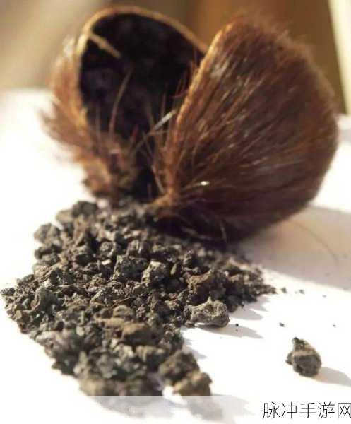 泰拉瑞亚麝香囊获取全攻略，解锁你的战斗潜能