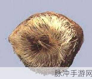 泰拉瑞亚麝香囊获取全攻略,解锁你的战斗潜能