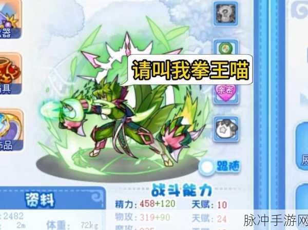 宠物王国外传，高效刷级攻略大揭秘