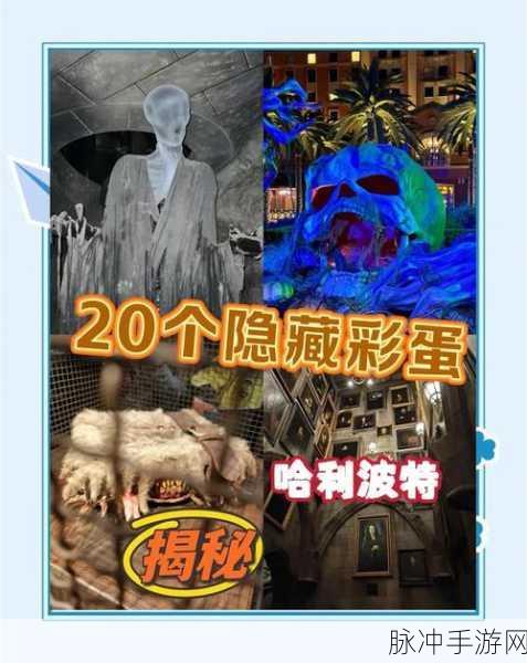 哈利波特魔法觉醒，揭秘隐藏鲜花彩蛋，踏上奇幻探索之旅