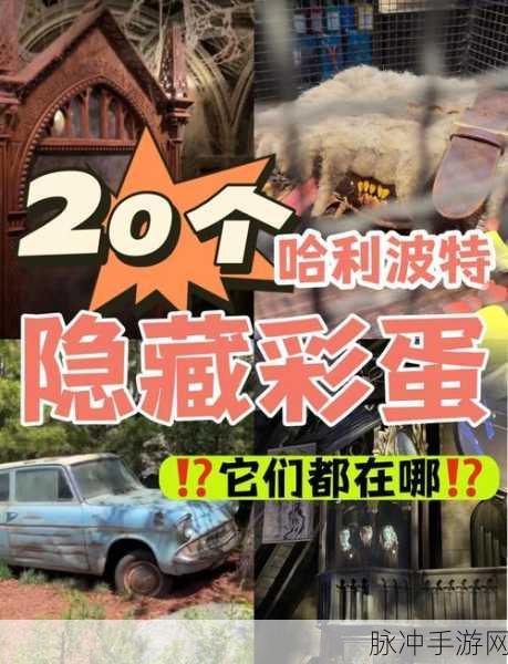 哈利波特魔法觉醒,揭秘隐藏鲜花彩蛋,踏上奇幻探索之旅