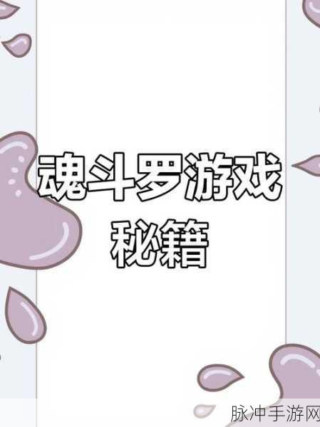 魂斗罗秘籍大揭秘,如何轻松调出30条命