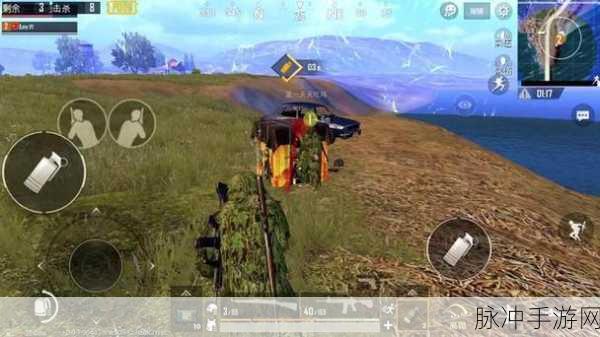 刺激战场异形屏适配全攻略，解锁你的极致游戏体验