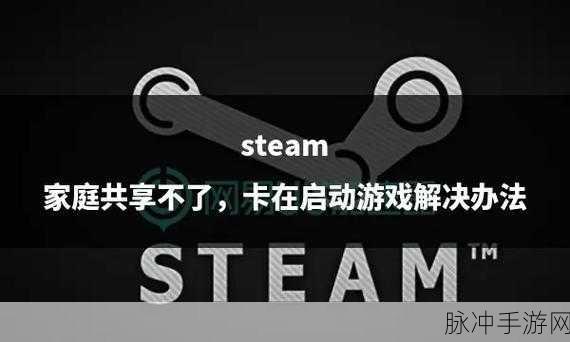 Steam家庭共享，手游玩家需警惕的安全隐患