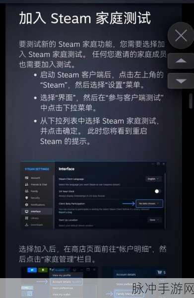 Steam家庭共享,手游玩家需警惕的安全隐患