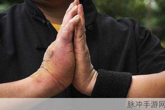 河洛群侠传铁砂掌残页小偷现身时间揭秘