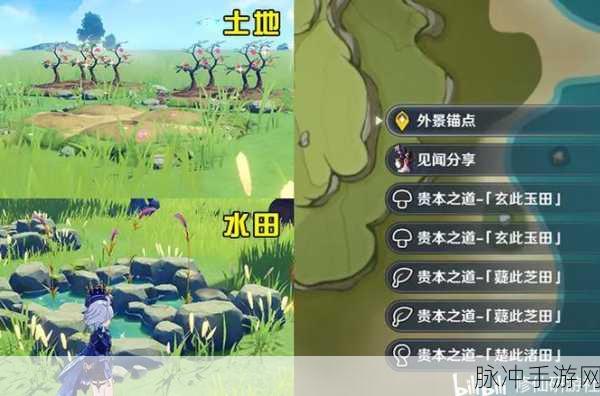 原神迷途探秘，尘歌壶中的树，斧下能否留生机？