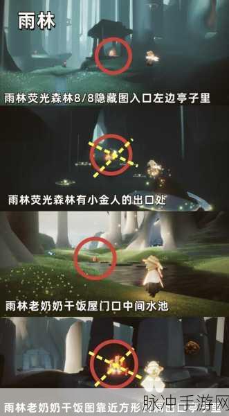 光遇雨林探险,大树屋第五个任务全攻略