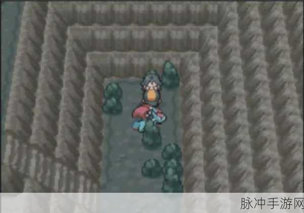探寻口袋妖怪,宿命的轮回金黄市道馆馆主的秘密
