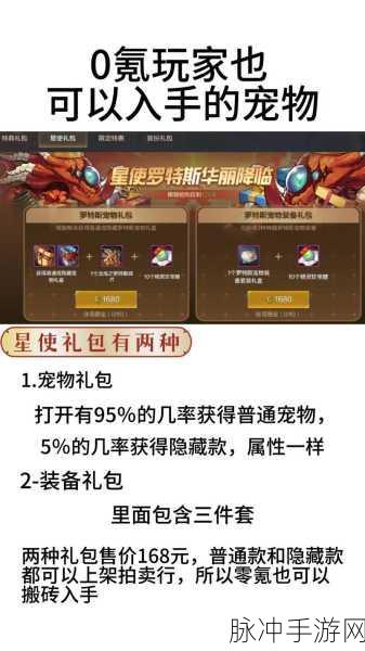 DNF金龙宠物礼包全揭秘，选择策略与玩法指南