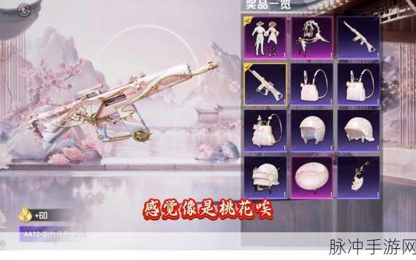 和平精英，为何看不见队友的头盔和背包皮肤？