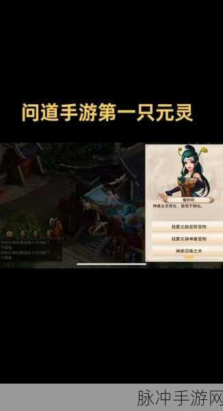 龙岭问道沉默手游，沉浸式多人在线角色扮演新体验