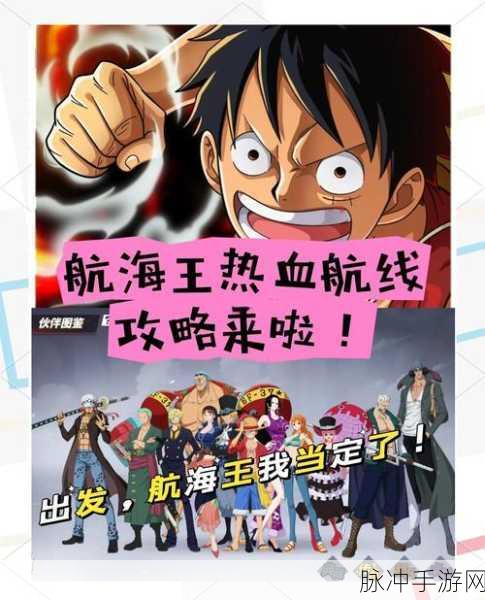 航海王热血航线路飞，技能加点与觉醒选择深度剖析