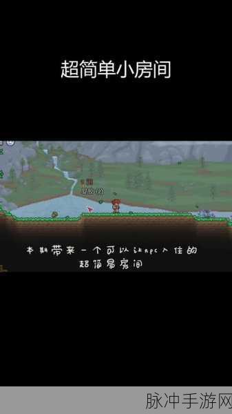 泰拉瑞亚PC版,如何不保存退出游戏的小技巧