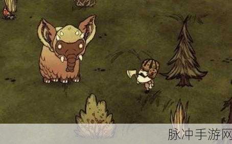 饥荒世界奇遇大揭秘，大象遁入虚空之谜
