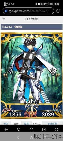 命运冠位指定FGO,五星英灵特斯拉最优礼装与阵容搭配全攻略