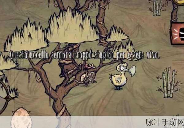 揭秘渡渡鸟繁衍奇境，挑战饥荒海难生存极限