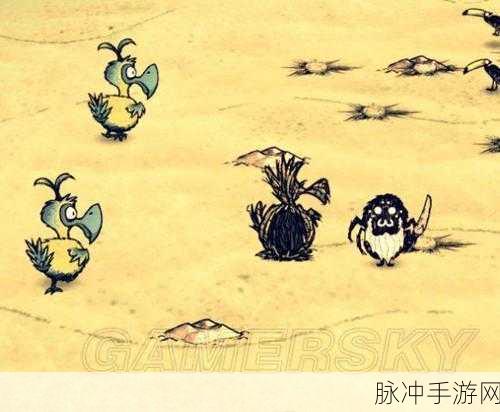 揭秘渡渡鸟繁衍奇境，挑战饥荒海难生存极限