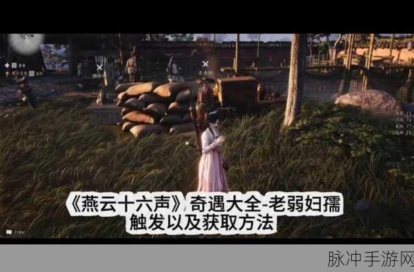燕云十六声深度探索，老弱妇孺奇遇全攻略与隐藏爆料大起底