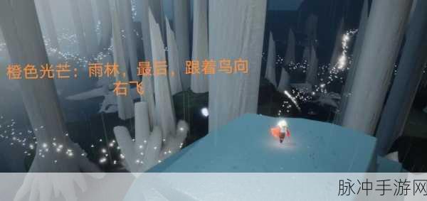 探寻光遇雨林深处,小王子的神秘踪迹