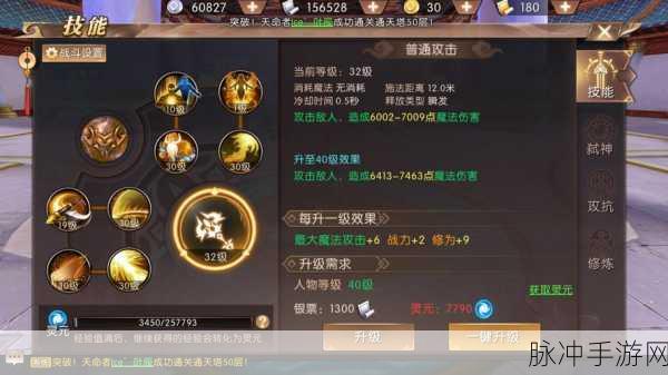 轩辕传奇手游药师技能加点秘籍，解锁战力飙升新路径，专家级策略揭秘