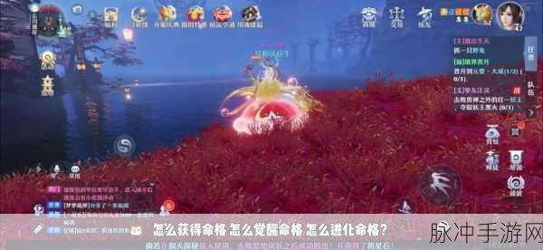 梦幻新诛仙，深度剖析鬼王宗门派技能强度