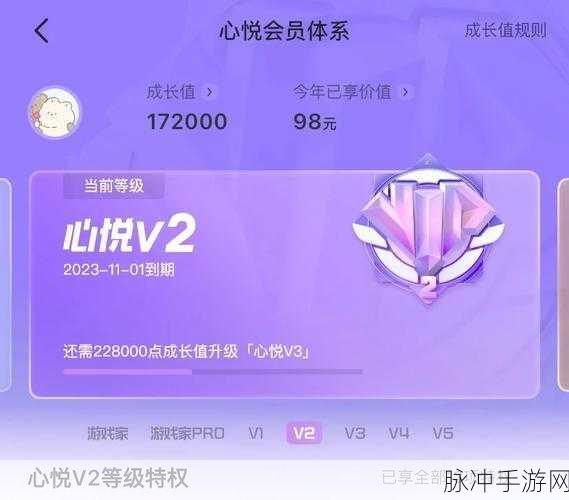 王者荣耀心悦G分,解锁游戏特权的秘密钥匙