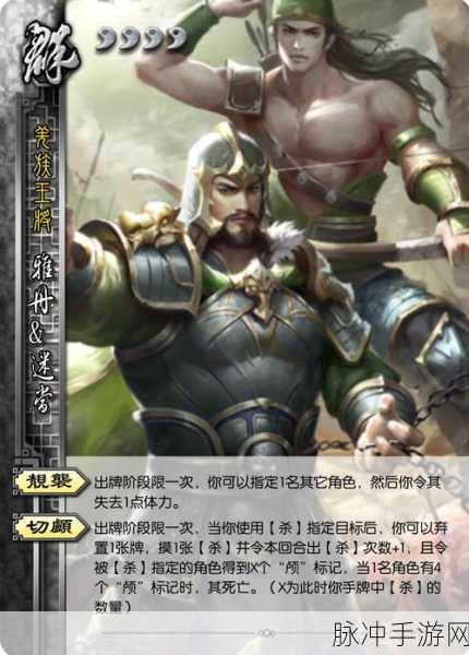群雄逐鹿,智取三国,三国杀名将传群雄阵营深度剖析与武将选择秘籍