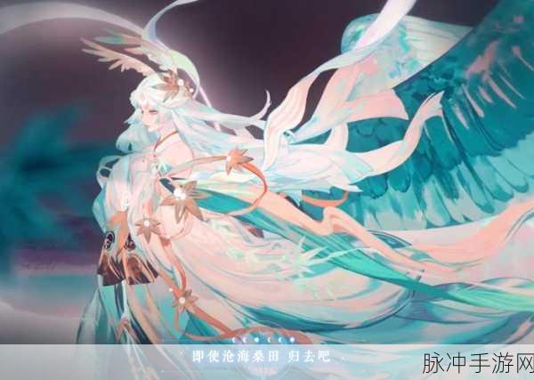 阴阳师SP辉夜姬最佳御魂搭配策略与实战应用全解析