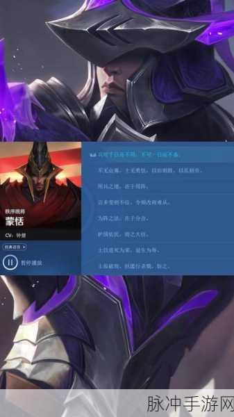王者荣耀语音举报判定风波,玩家心声与改进期待