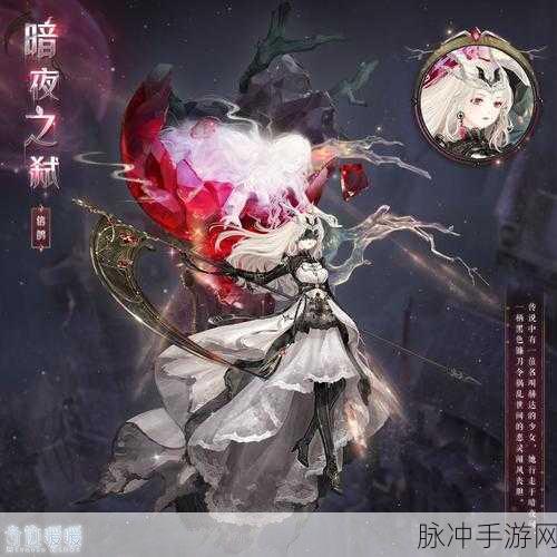 暗黑3暗影套装,暗夜中绽放的荣耀与无尽力量