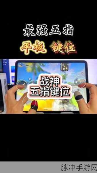 和平精英陀螺仪,开启与关闭的终极对决
