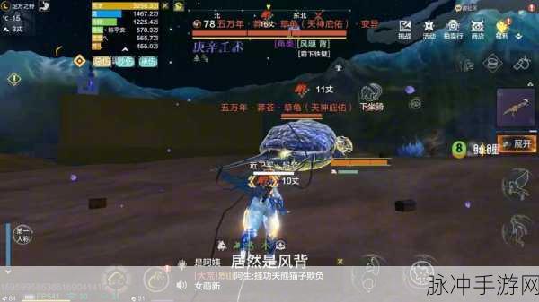 妄想山海矿石分布全攻略，助你采矿无忧