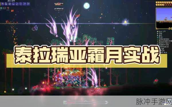 泰拉瑞亚冰雪女王，霜月之夜的终极挑战