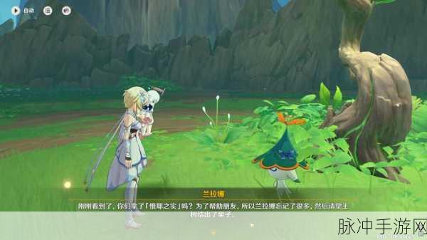 原神森林书任务全揭秘,解锁须弥雨林的神秘之旅