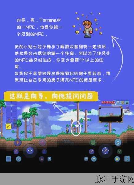 泰拉瑞亚纳米机器人获取全攻略