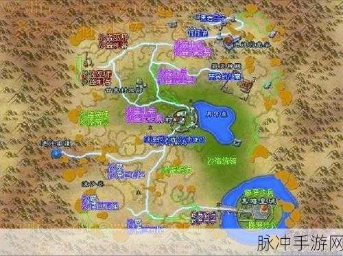 武林外传奇遇，揭秘沙漠金色箱子的无尽宝藏