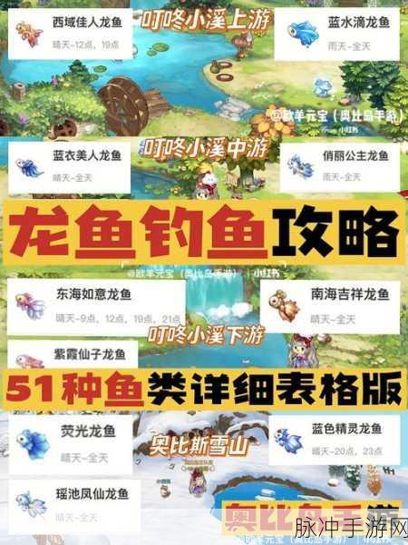 奥比岛钓鱼全攻略,鱼的存放与管理秘籍