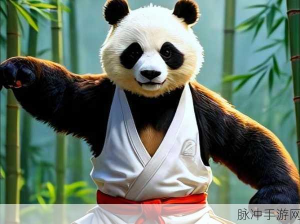 太极熊猫2,钻石运用艺术,解锁高效成长秘籍