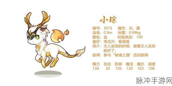 洛克王国小琮进化全攻略,属性与进化方法深度揭秘