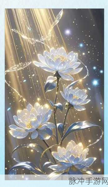 幻之封神金鳌岛种植深度解析,从新手到大师的蜕变
