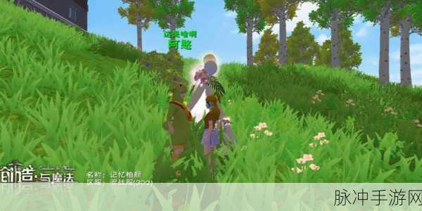 玉米秘境奇遇记，解锁创造与魔法的田园新篇章