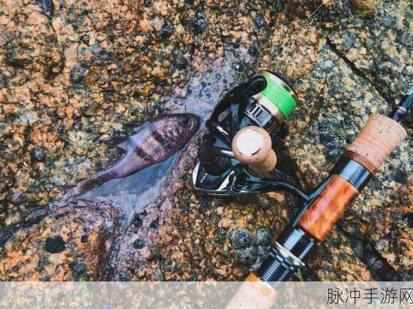 黑色沙漠手游鲫鱼垂钓秘境,解锁最佳钓点全攻略